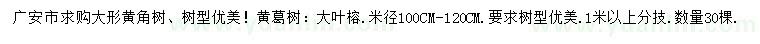 求購黃角樹、黃葛樹、大葉榕