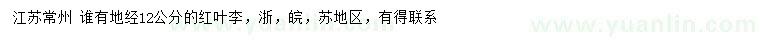 求購地徑12公分紅葉李