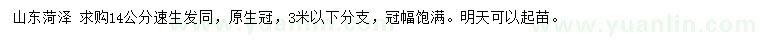 求購14公分速生法桐