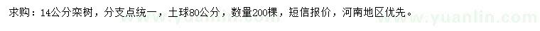 求購14公分欒樹