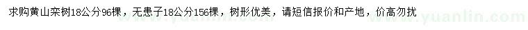 求購18公分黃山欒、無患子