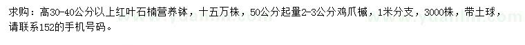 求購高30-40公分以上紅葉石楠、2-3公分雞爪槭