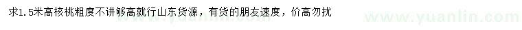 求購高1.5米核桃