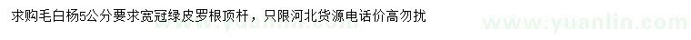 求購(gòu)5公分毛白楊