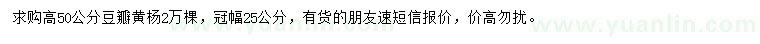 求購高50公分豆瓣黃楊