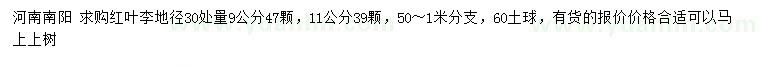 求購地徑30處量9、11公分紅葉李
