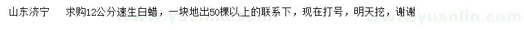 求購12公分速生白蠟