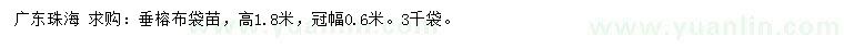 求購(gòu)高1.8米垂榕