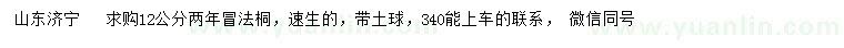 求購(gòu)12公分速生法桐
