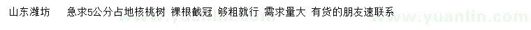 求購5公分占地桃樹