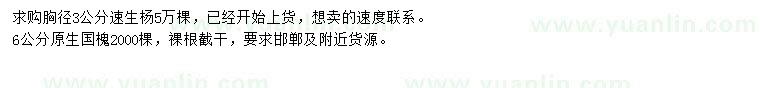 求購胸徑3公分速生楊、6公分國槐