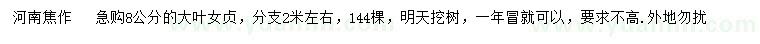 求購8公分大葉女貞