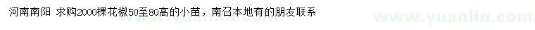 求購高50-80公分花椒小苗