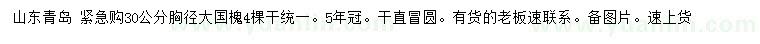 求購(gòu)胸徑30公分國(guó)槐