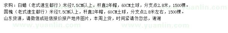 求購米徑7.5公分以上白蠟、國槐