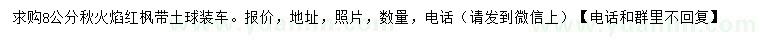 求購8公分秋火焰紅楓