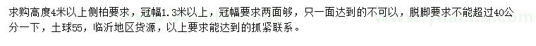 求購高度4米以上側(cè)柏