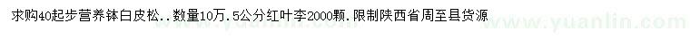 求購(gòu)40公分以上白皮松、5公分紅葉李