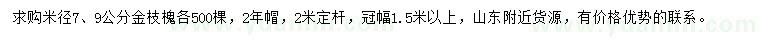 求購米徑7、9公分金枝槐