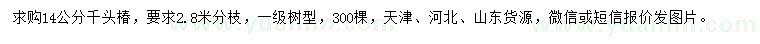 求購14公分千頭椿