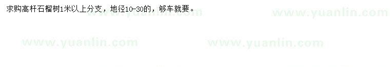 求購地徑10-30公分高桿石榴樹
