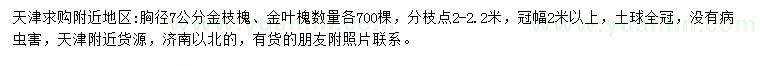 求購胸徑7公分金枝槐、金葉槐