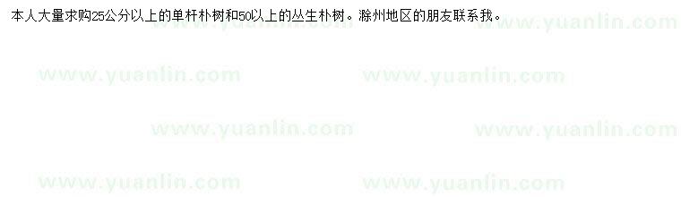 求購25公分以上樸樹、50公分以上叢生樸樹
