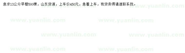 求購13公分早櫻