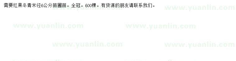 求購(gòu)米徑6公分紅果冬青苗