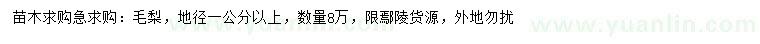 求購地徑1公分以上毛梨