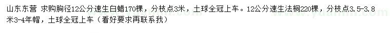 求購(gòu)胸徑12公分速生白蠟、速生法桐