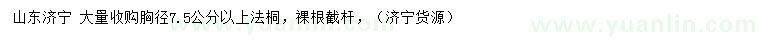 求購胸徑7.5公分以上法桐