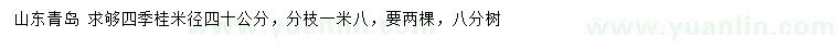求購米徑40公分四季桂