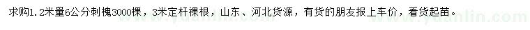 求購1.2米量6公分刺槐