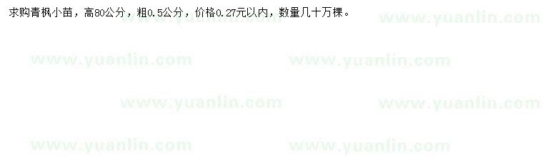 求購(gòu)高80公分青楓小苗
