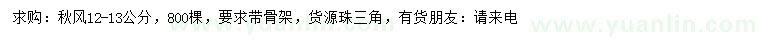 求購12-13公分秋楓