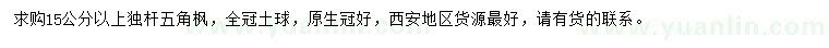 求購15公分以上獨(dú)桿五角楓