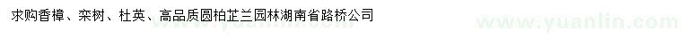 求購(gòu)香樟、欒樹(shù)、杜英等