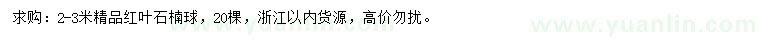 求購2-3米精品紅葉石楠球