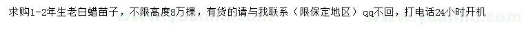求購(gòu)老白蠟苗子