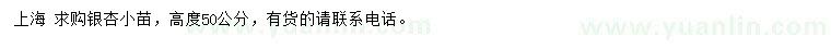 求購高50公分銀杏小苗
