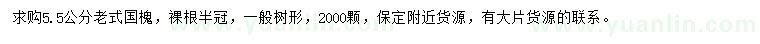 求購5.5公分老式國槐