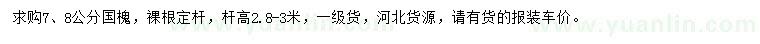 求購7、8公分國槐