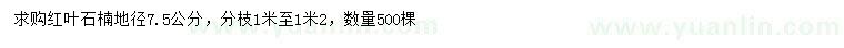 求購地徑7.5公分紅葉石楠