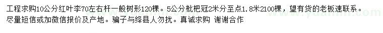 求購10公分紅葉李、5公分枇杷
