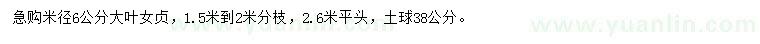 求購米徑6公分大葉女貞
