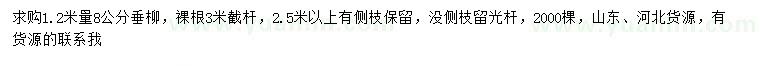 求購1.2米量8公分垂柳