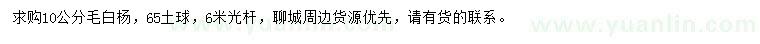 求購10公分毛白楊