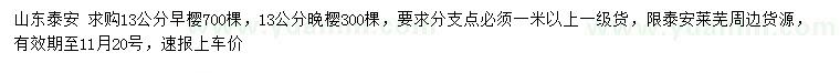 求購13公分早櫻、晩櫻