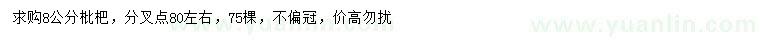 求購8公分枇杷